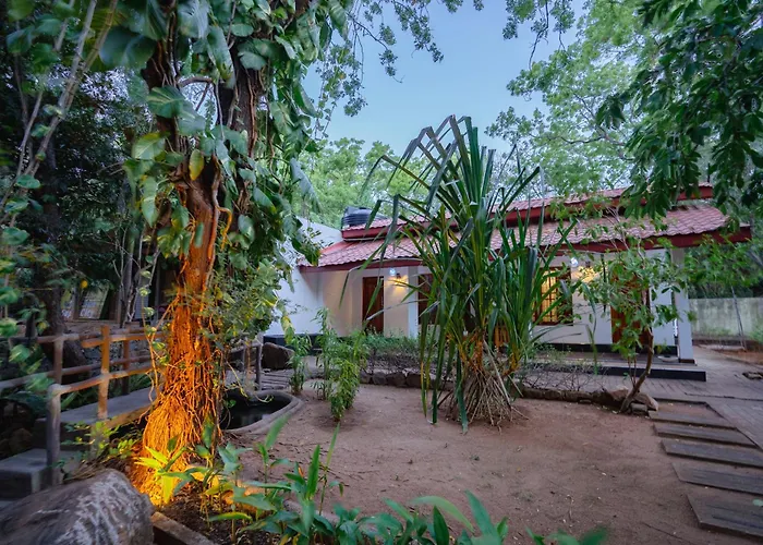 Mountain Edge By Yala Odyssey