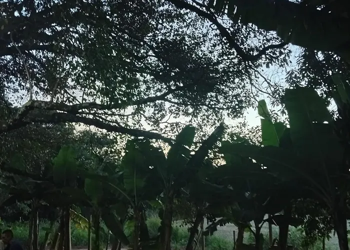 Camping Raízes da Montanha