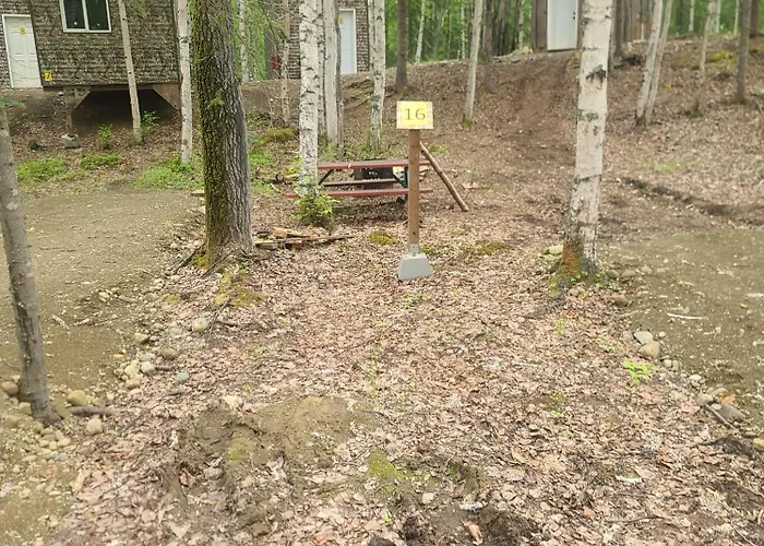 Houston Grass Station Campsite #16