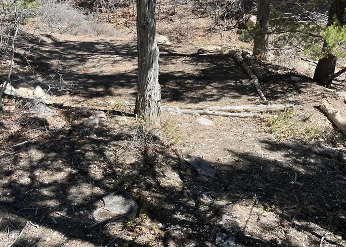Bear Hollow