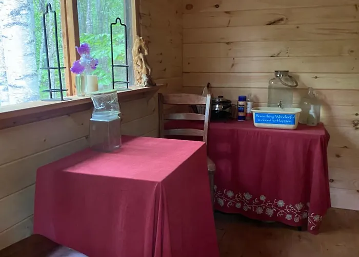 Enchanted Forest Cabin