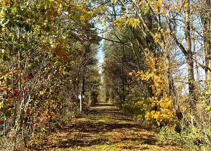 New! Wooded Acres Resort - Cute & Fun!