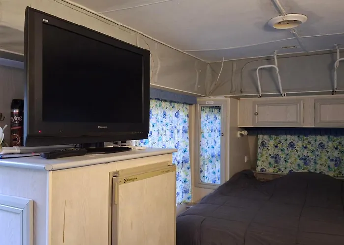 Caravan Rustic Sunflower