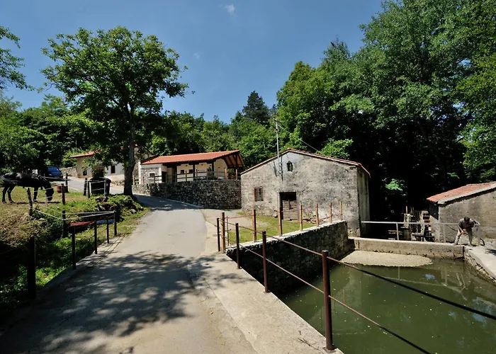 Avtokamp Pri Mlinu - Tent Or Camper Pitch - Dujceva Domacija