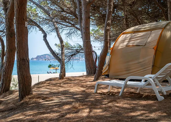 Camping Iscrixedda