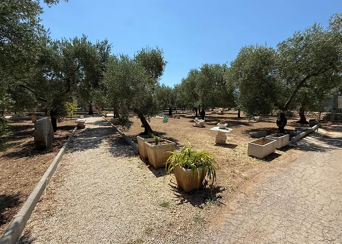 Agricampeggio Dei Nobili