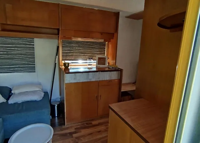 Retro Caravan Auf Tierschutzhof Am Wald