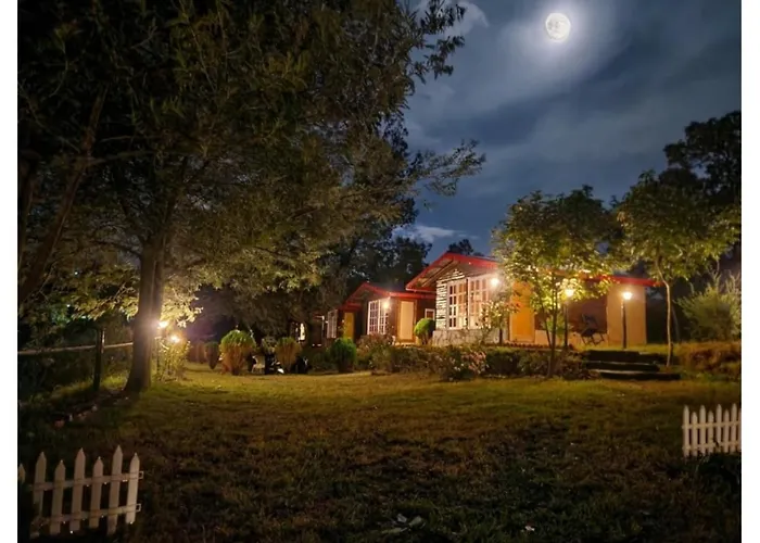 Once Upon A Forest By The Hillstay