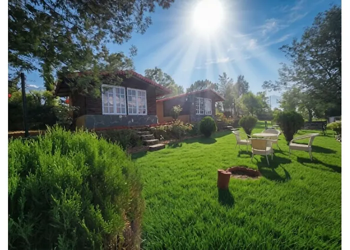 Once Upon A Forest By The Hillstay