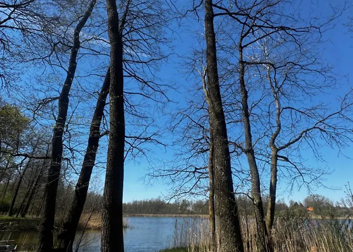 The Lake House