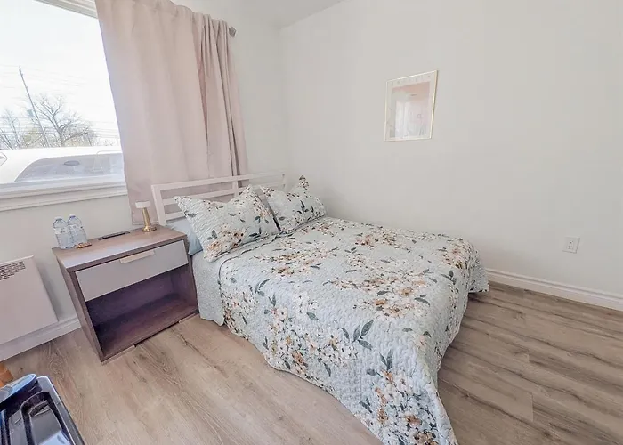 Siesta Roadside Inn & Suites Kingston