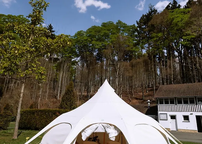 Glampingzelt auf Naturcampingplatz im Wald