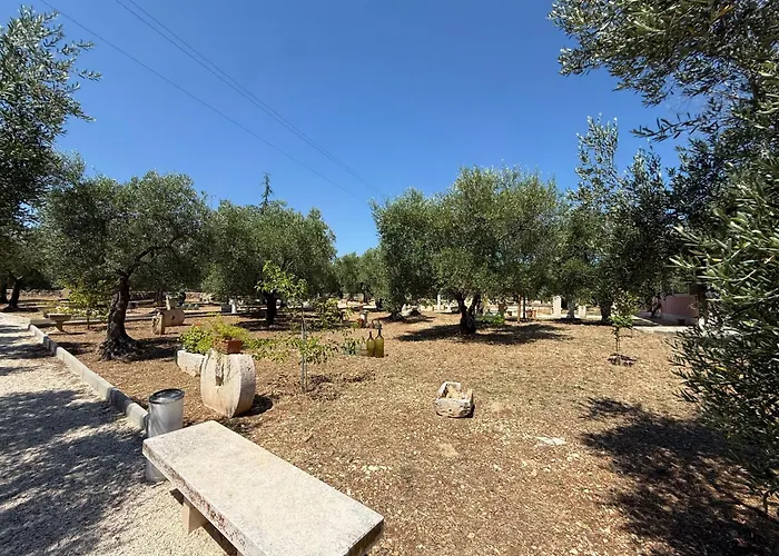 Agricampeggio Dei Nobili