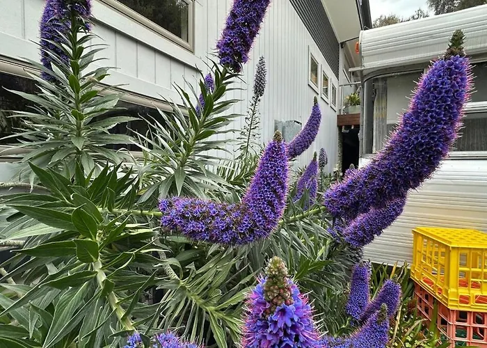 Australian Retro Beach Stay