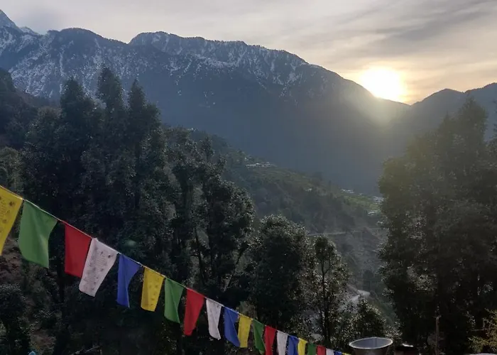 Cafe Himalayan Musaafir & Campsite Kareri
