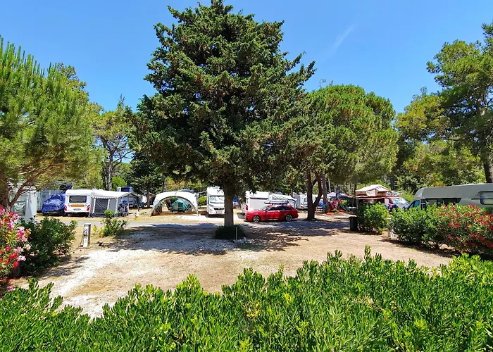 Zaton Holiday Resort Camping Pitches