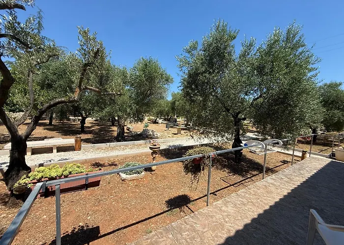 Agricampeggio Dei Nobili
