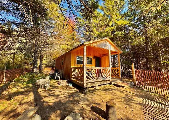Lookout Cabin