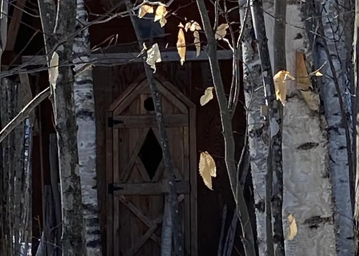 Enchanted Forest Cabin