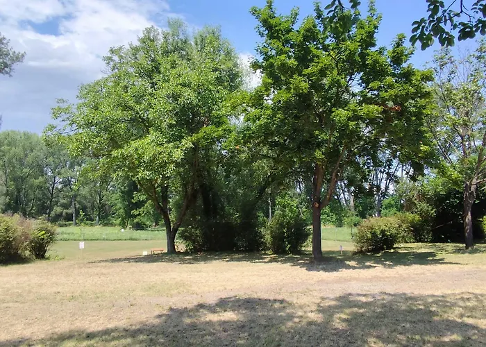Szentkut Kemping Vasvar
