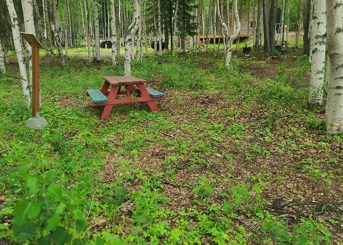 Houston Grass Station Campsite #26