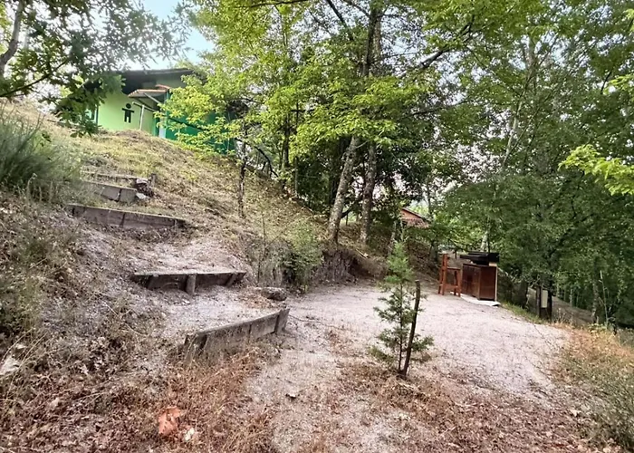 Valley Cabril Selvagem
