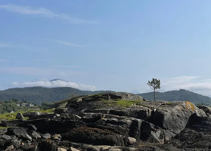 Fjord View Off-Grid Cabin