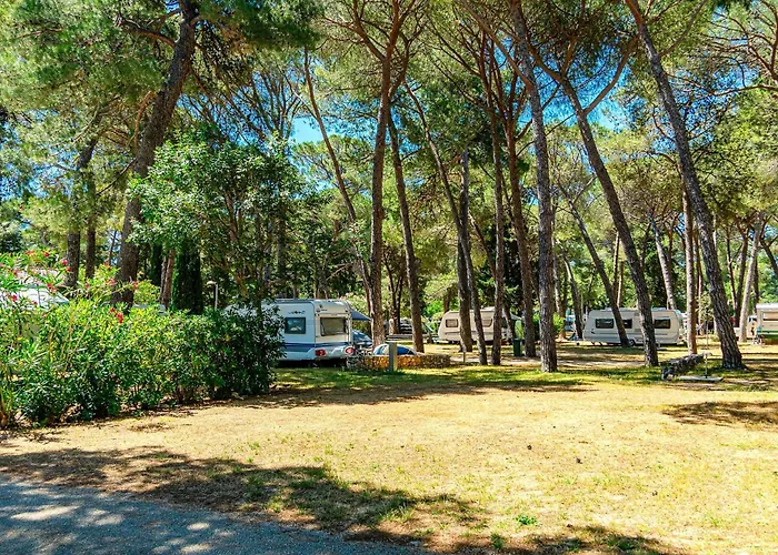 Zaton Holiday Resort Camping Pitches