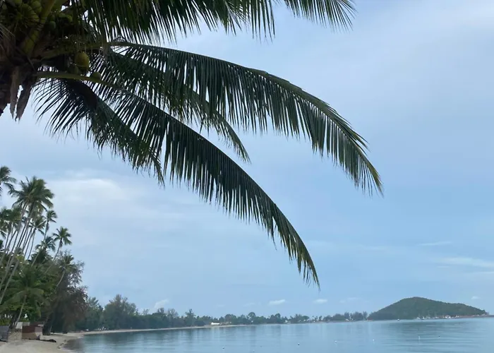 Arunta Samui
