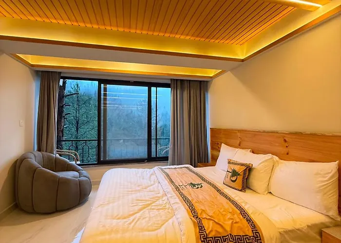 Pine View Hotel