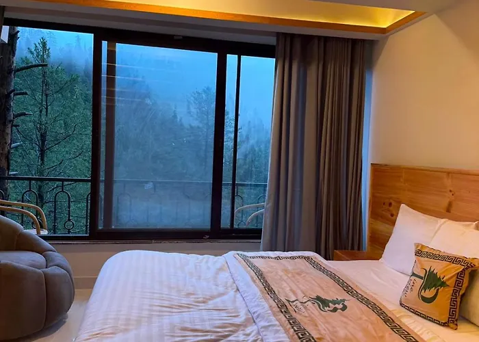 Pine View Hotel