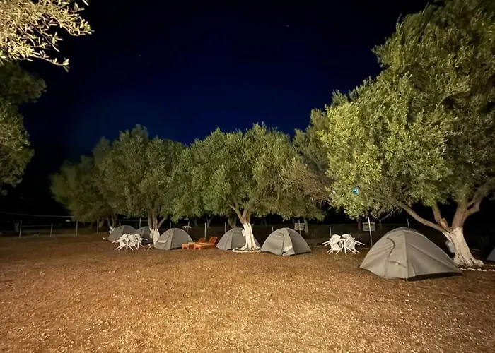 Seagrove Camping