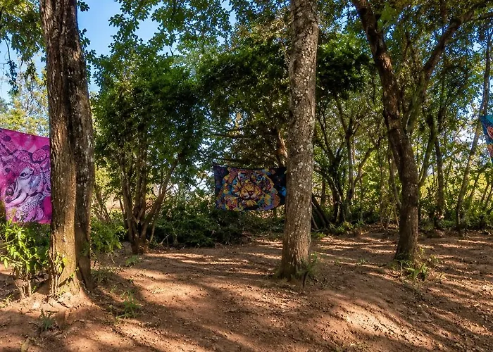Camp luz casal 1