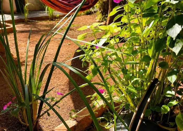 Jm Resort Iguazu