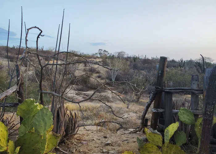 The Earthship And The Serpent