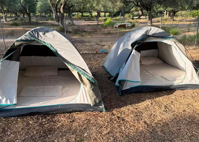 Seagrove Camping