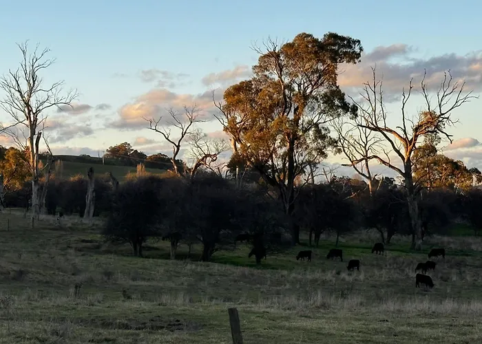 Valley View