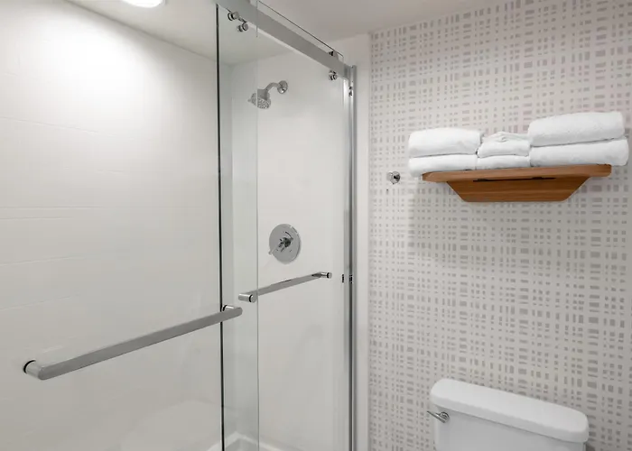 Hampton Inn Washington-Dulles International Airport South