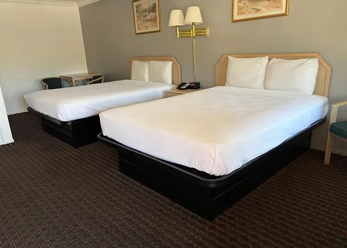 Lark Motel Willits