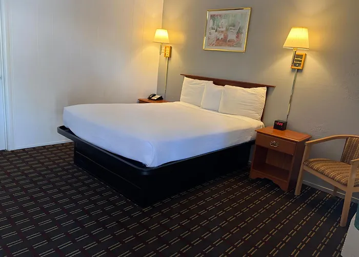 Lark Motel Willits