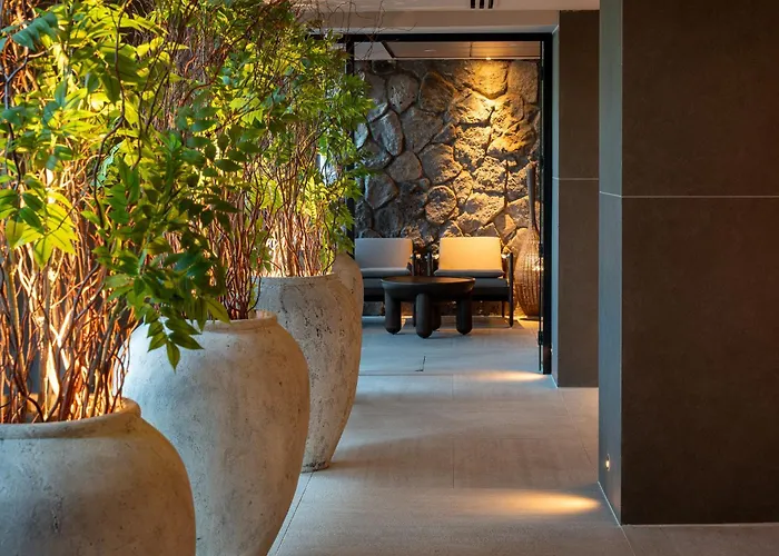 Leonardo Plaza Kinneret