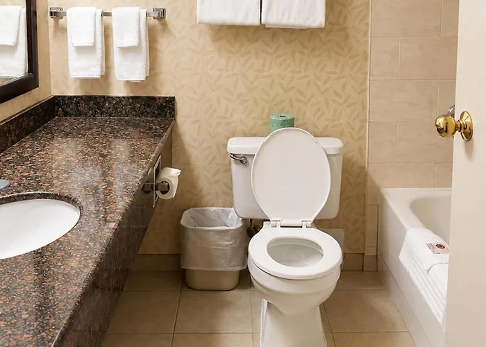 Comfort Inn & Suites Ambassador Bridge
