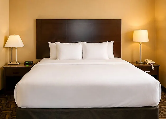 Comfort Inn & Suites Ambassador Bridge