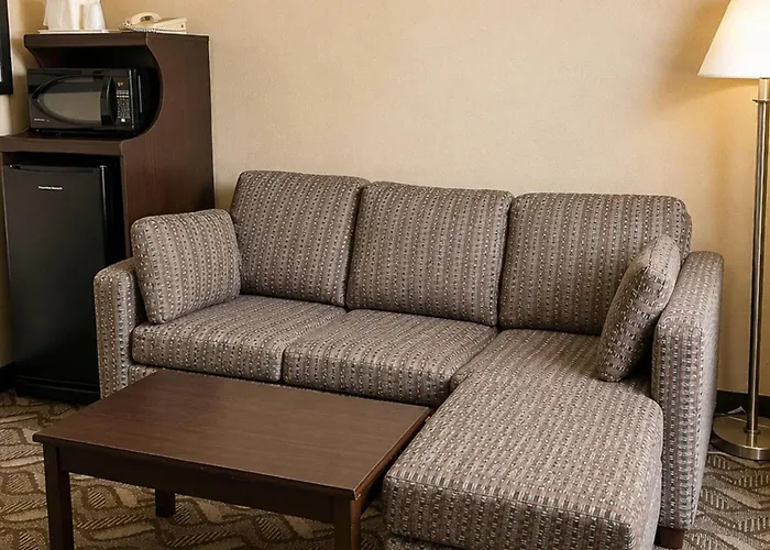Comfort Inn & Suites Ambassador Bridge