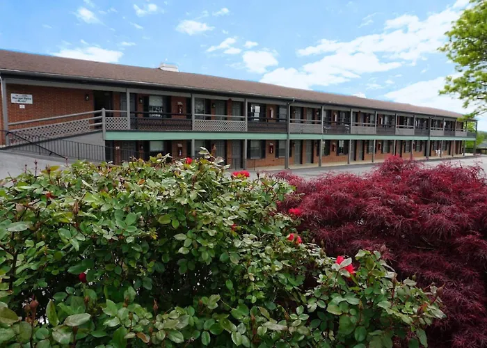 Harvest Drive Family Inn - Renovated Rooms