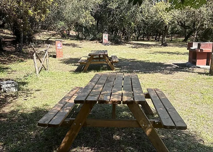 Camping Internazionale Di Castelfusano