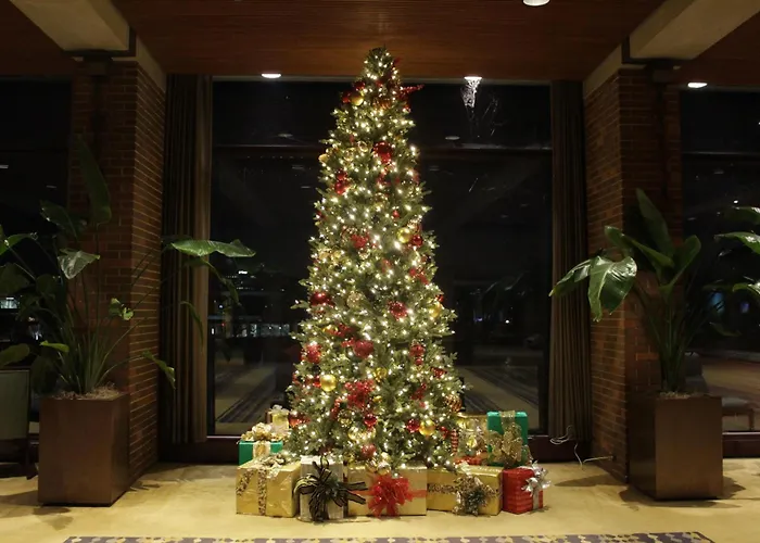 Hyatt Lodge Oak Brook Chicago