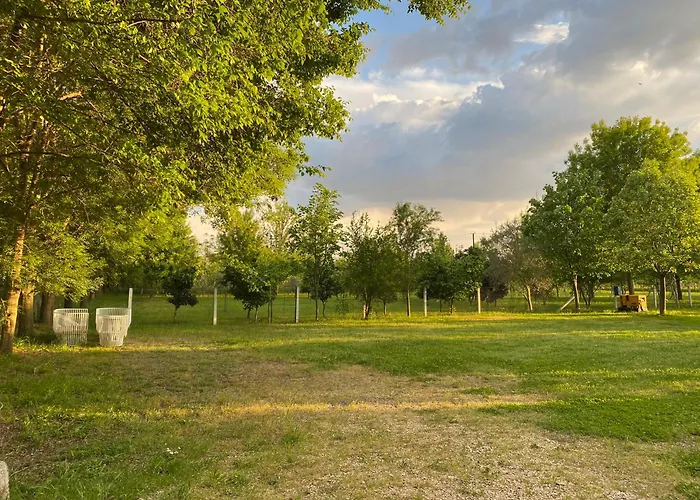 Camping Oazi