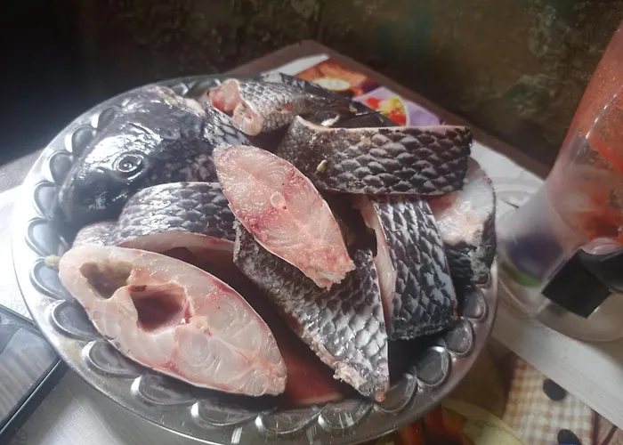 Sanyu Foods & Accommodation