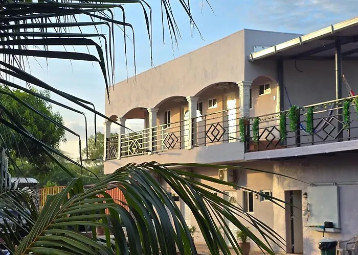 Rivera Solea